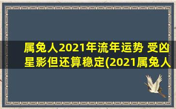 属兔人2021年流年运势 受凶星影但还算稳定(2021属兔人流年运势：凶星影响稳如泰山)